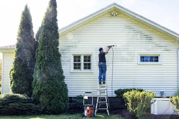 Best Building Exterior Washing  in Chicago Heights, IL